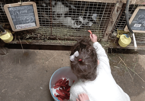 Mercredi 23 septembre : visites à la ferme